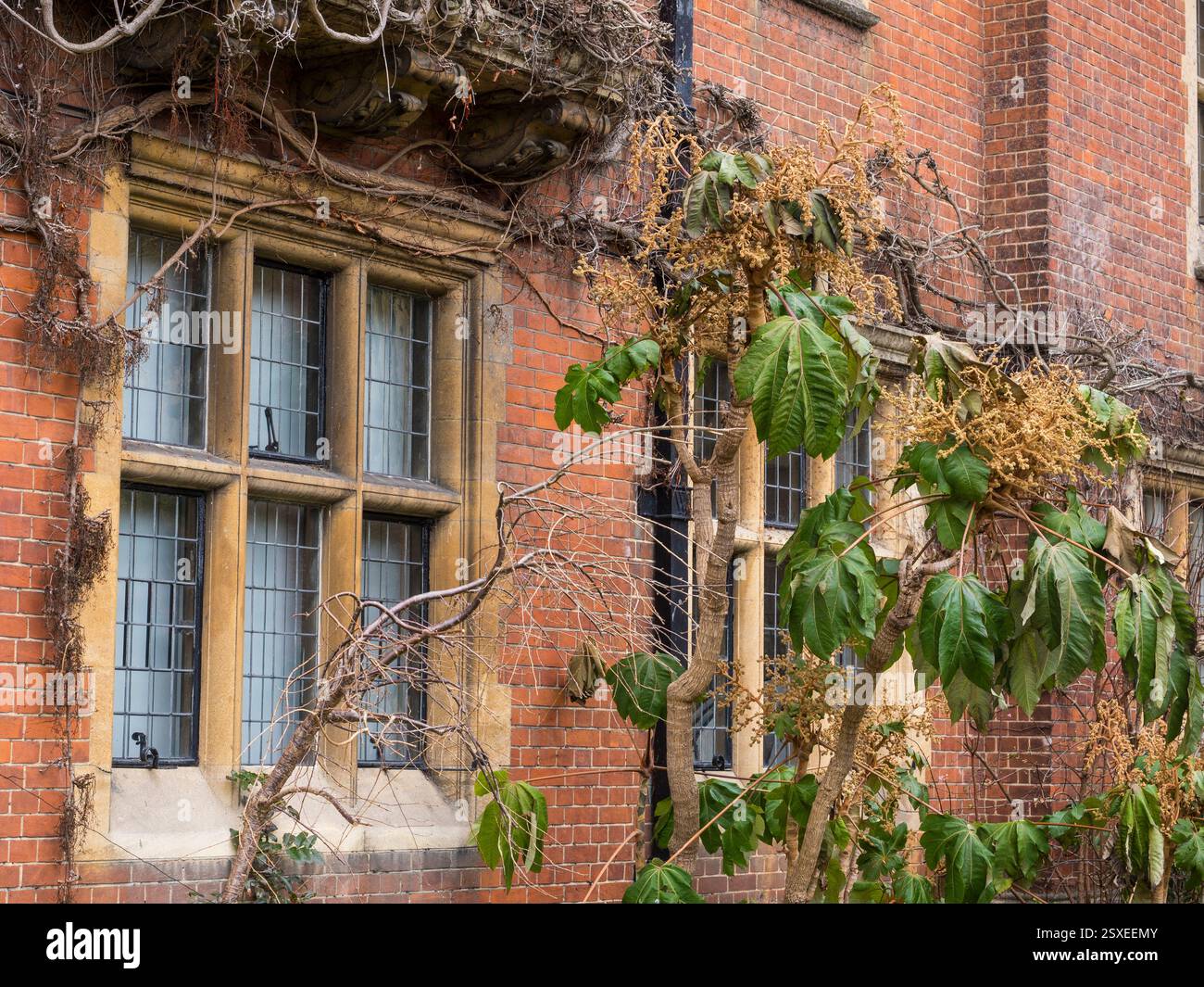 Westminster College, Theologisches College, Hotel, Unterkunft, Cambridge, Cambridgeshire, England, Großbritannien, GB. Stockfoto
