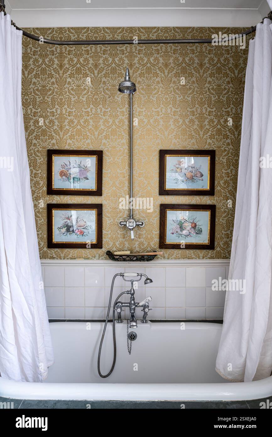 Gerahmte Aquarell- und goldgemusterte Tapete über dem Bad mit Duschvorhang in West London Haus. London, Großbritannien. Stockfoto