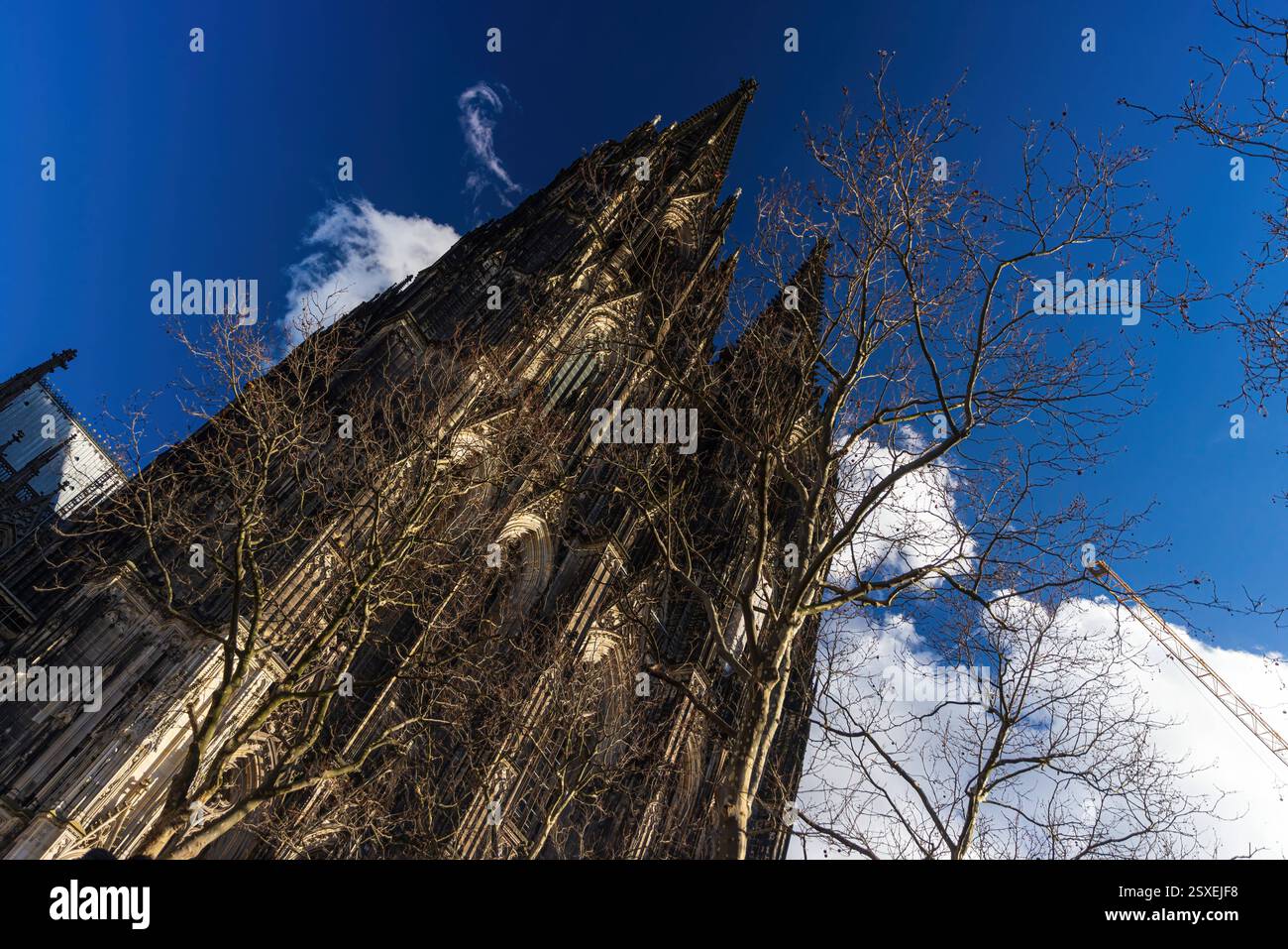 Kölner Dom in Deutschland Niedrigwinkelansicht des Reiseziels Kölner Dom in Deutschland *** Kölner Dom in Deutschland Tiefblick auf das Rei Stockfoto