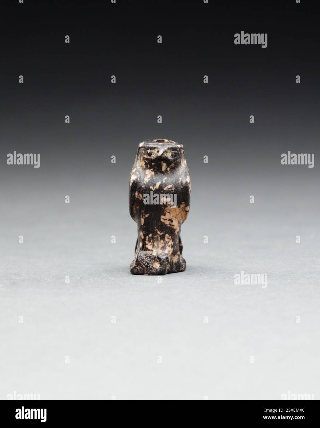 Falkenamulett Spätzeit–Ptolemäer um 664–30 v. Chr. dieser kräftige Falke mit kurzem Hals steht auf einem kleinen rechteckigen Sockel. Die Oberseite des Kopfes ist flach und weist ein Loch auf, mit dem vermutlich ein Kopfschmuck befestigt wurde, der heute fehlt. Der Bereich zwischen den Füßen und dem Schwanz des Vogels wurde weggemeißelt, was bei einem so kleinen Steinamulett schwer zu erreichen ist. Eine kurze horizontale Rille auf dem Rücken des Vogels ergibt sich aus dem Durchstechen einer Schlaufe, die abgebrochen ist und fehlt. Mehr anzeigen. Falcon Amulett. CA. 664–30 v. Chr. Granodiorit. Späte Periode – Ptolemäische Periode. Aus Ägypten Stockfoto