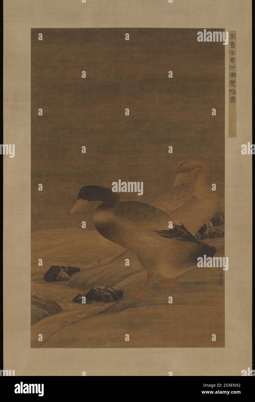 Paar Mallard Enten am Sandstrand, unbekannter Künstler, im Stil von Luo Zonggui, China, Qing-Dynastie, Tinte und Farbe auf Seide, hängende Rolle, traditionelle chinesische Malerei, Stockenten, natürliche Szene, Vögel im Lebensraum, Sandstrand, Kunst aus der Qing-Ära, feine Details, traditionelle Landschaft, chinesische Naturkunst, Tierdarstellungen, detaillierte Pinselarbeiten, Kunst aus der Zeit, Outdoor-Szene, Tinte auf Seide, Vogelbeobachtungsthema, ruhige Natur, Naturschutz, Naturstudium, Ästhetik der Qing-Dynastie, Tuschmalerei, Vogelwelt, Wasservögel, chinesische Landschaft, klassische chinesische Kunst Stockfoto