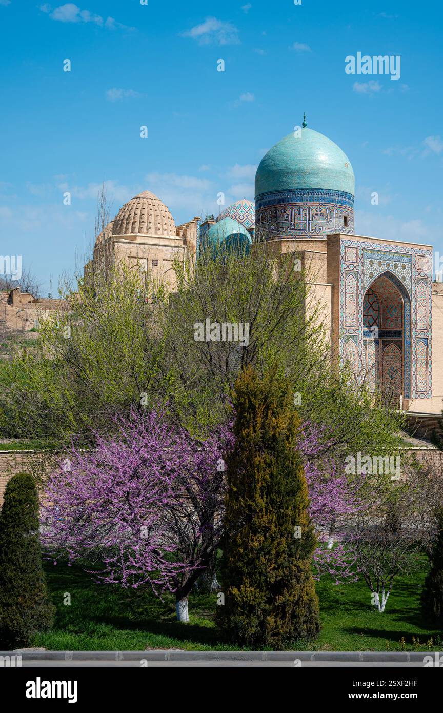 Shah-i-Zinda Friedhof und lila Blumen in Samarkand, Usbekistan Stockfoto