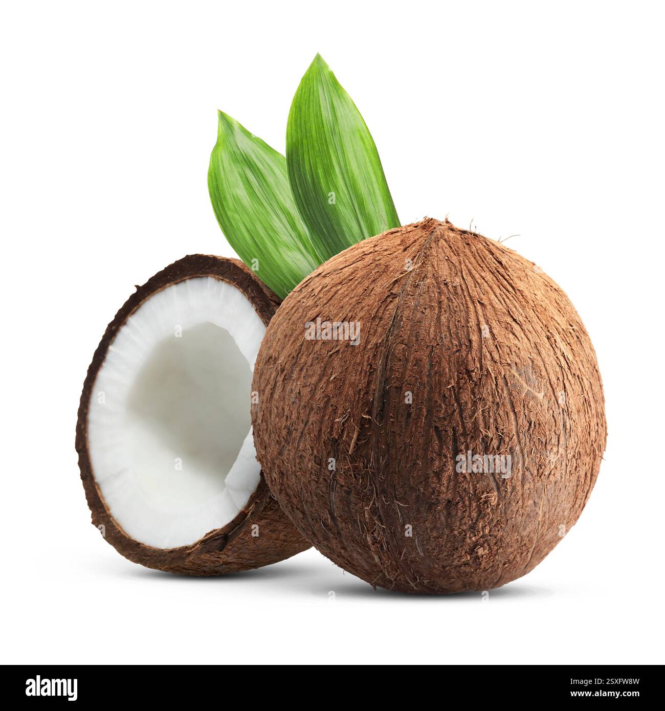 Kokosnüsse und grüne Blätter isoliert auf weiß Stockfoto