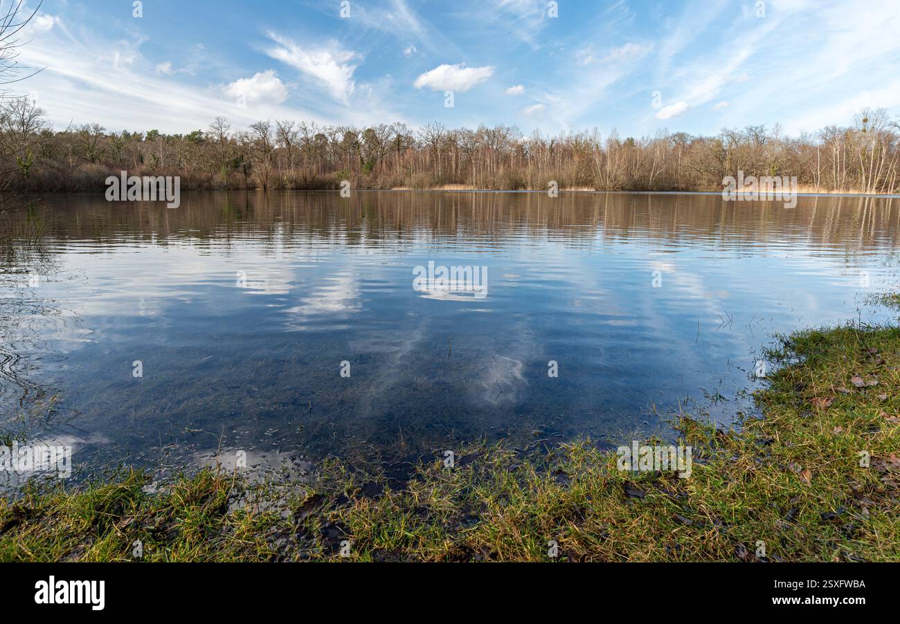 Etang du Buissonnet, ein schöner Fischteich im Winter in der Gemeinde Compiègne im Departement Oise in der Region Hauts-de-France. Stockfoto
