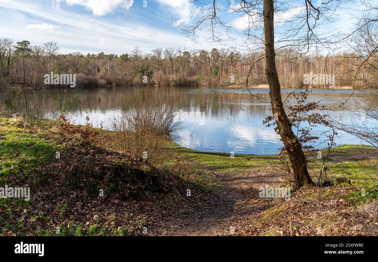 Etang du Buissonnet, ein schöner Fischteich im Winter in der Gemeinde Compiègne im Departement Oise in der Region Hauts-de-France. Stockfoto