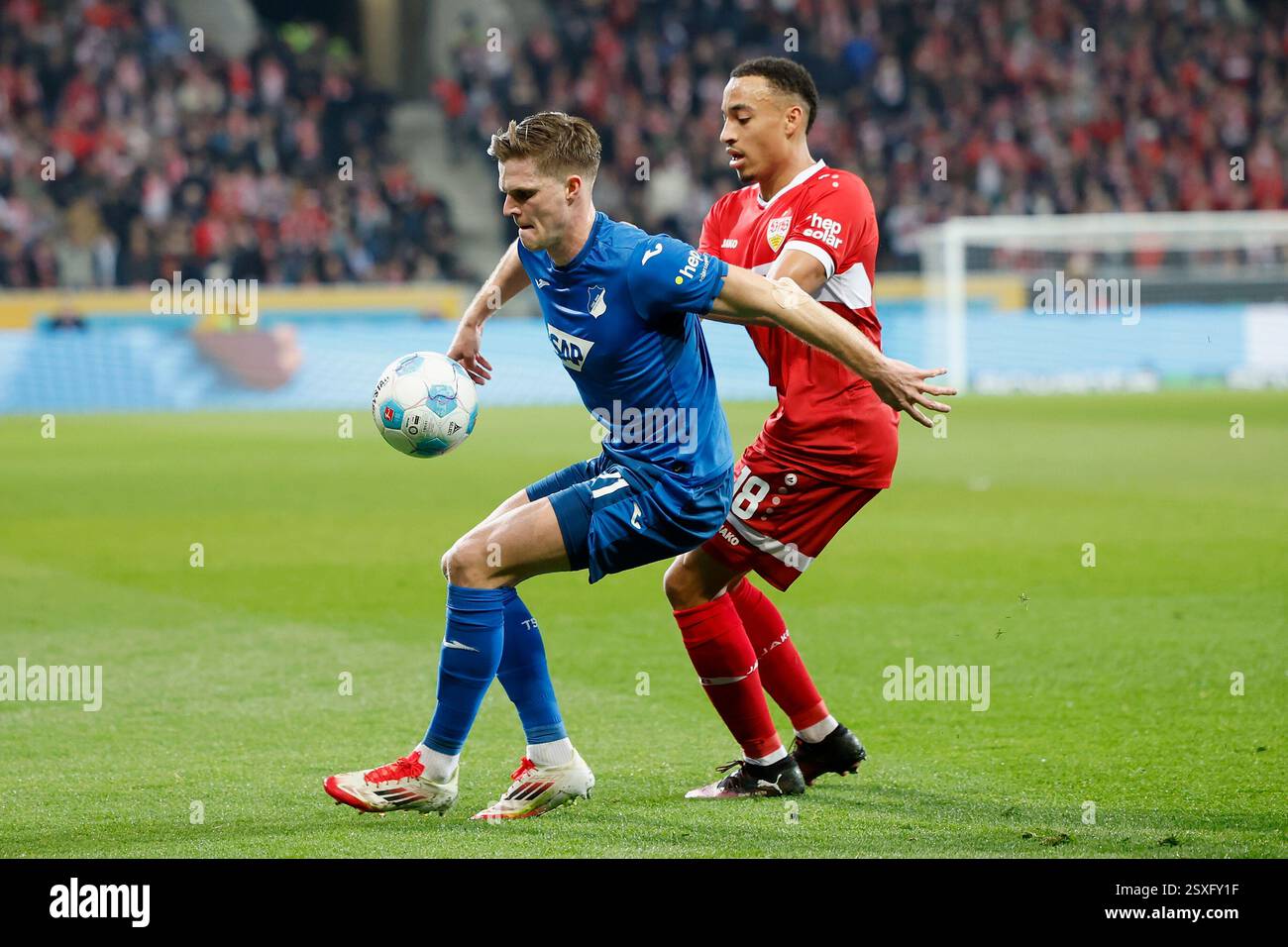 Sinsheim, Deutschland. Februar 2025. im Bild: V.l. Marius Buelter (TSG Hoffenheim, 21) und Jamie Leweling (VFB Stuttgart, 18), 23.02.2025, Fussball, Bundesliga, TSG Hoffenheim - VfB Stuttgart, Deutschland, Sinsheim, PreZero Arena, DFL-VORSCHRIFTEN VERBIETEN DIE VERWENDUNG VON FOTOGRAFIEN ALS BILDSEQUENZEN UND/ODER QUASI-VIDEO. Quelle: dpa/Alamy Live News Stockfoto