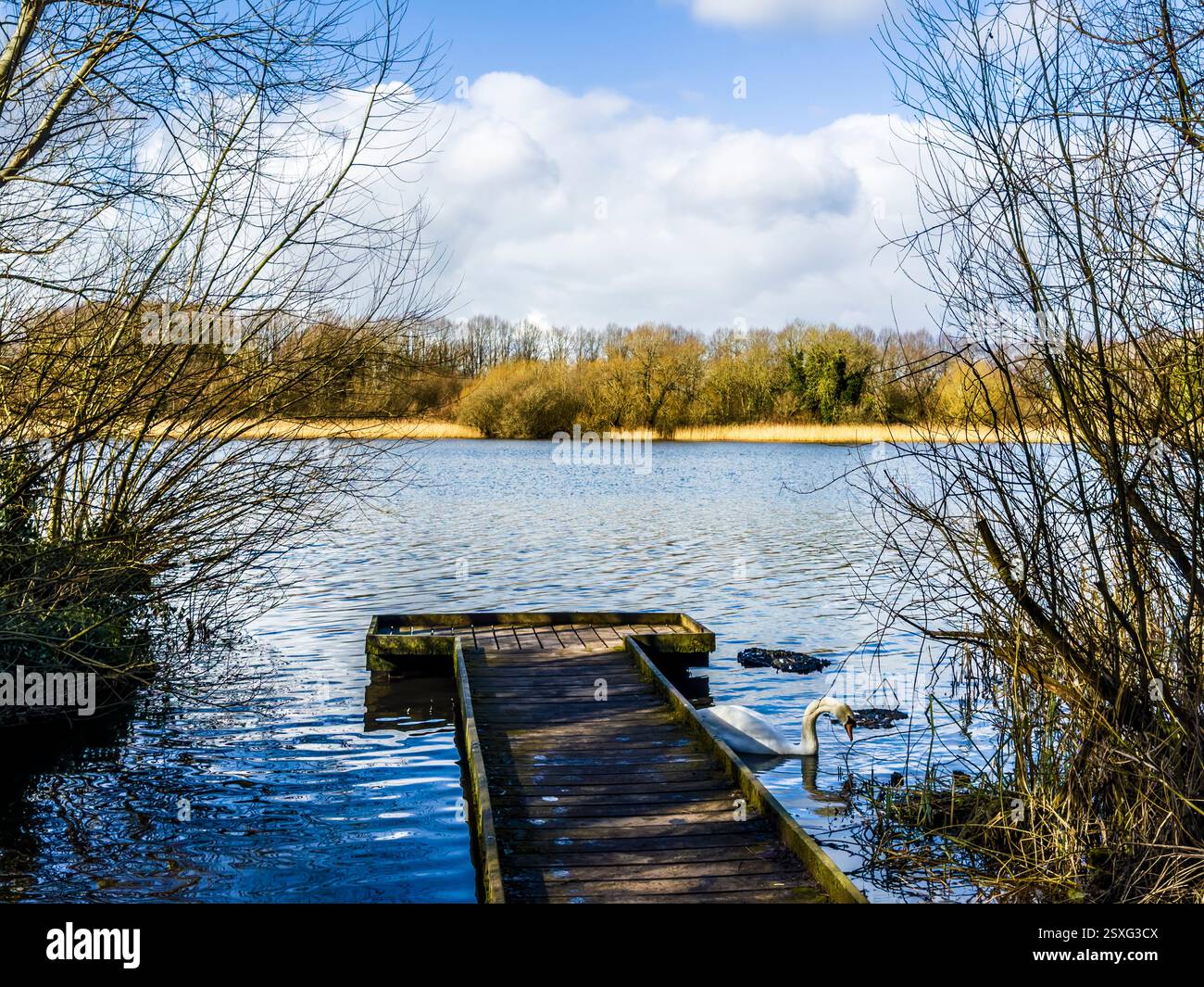 Ein kalter, sonniger Wintermorgen auf Coate Water in Swindon. - Smartphone-aufgenommenes Stockfoto