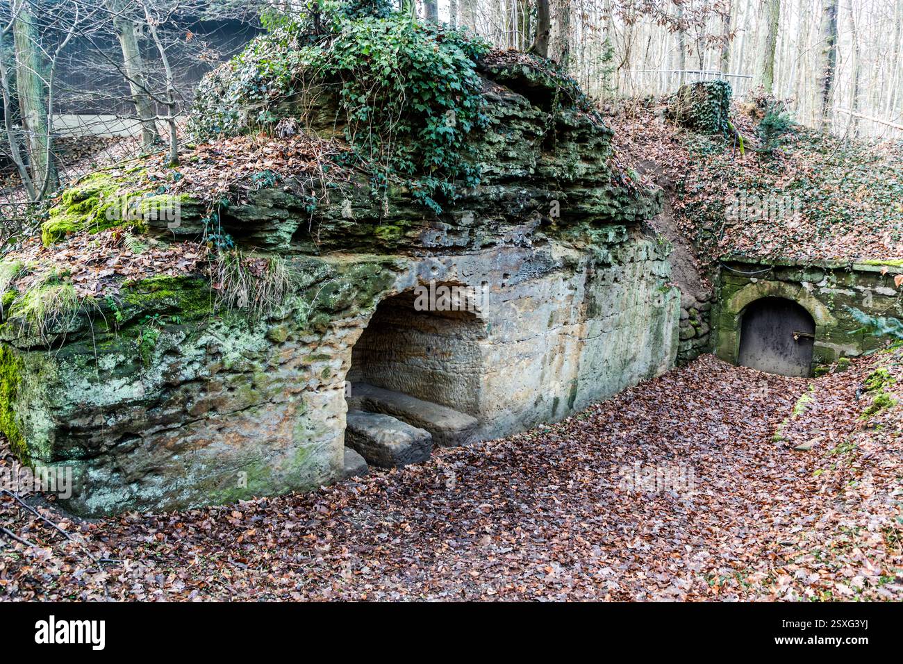 Zwei Öffnungen, die in eine Sandsteinformation geschnitten sind, bilden einen Felsenkeller am Neuenberg im Kellerwald von Forchheim. Moos und Efeu überwuchern den Felsen darüber, Herbstblätter bedecken den Boden davor. Der Kellerwald umfasst 23 solcher Felsenkeller auf etwa 20.000 Quadratmetern. Die ersten Keller sind ab 1691 dokumentiert. Am Neuenberg, Forchheim, Bayern, Deutschland. Stockfoto