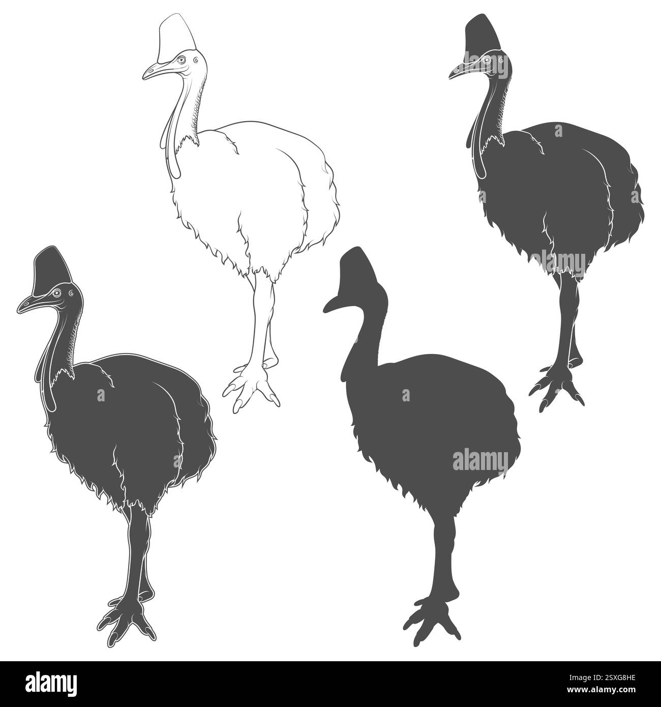 Satz von Schwarz-weiß-Illustrationen mit Kasuar-Vogel, Casuarius. Isolierte Vektorobjekte auf weißem Hintergrund Stock Vektor