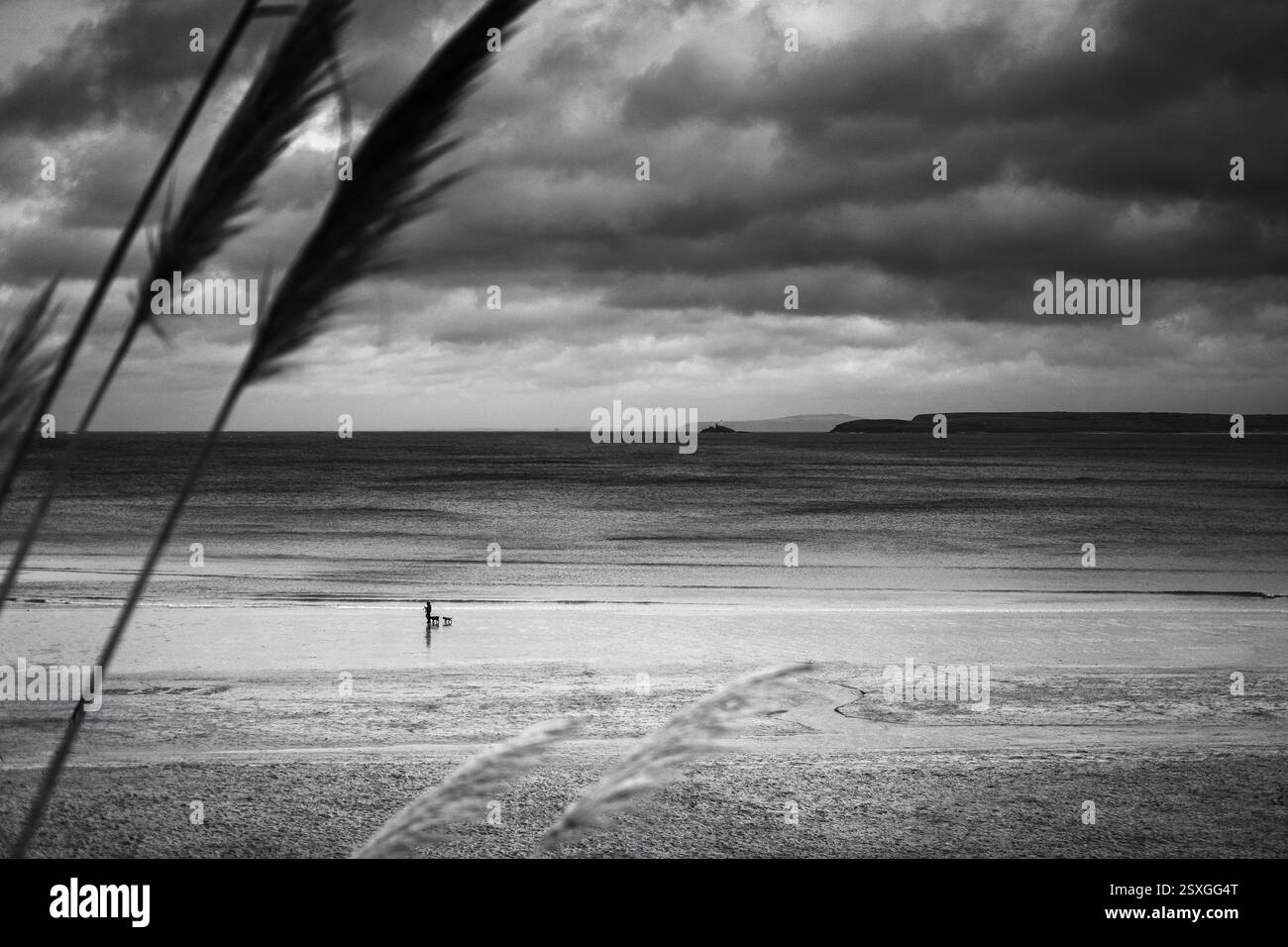 Eine Person, die mit ihren Hunden an einem Strand spaziert, mit einem dramatischen Himmel und Meer. Der bewölkte Himmel und die Weite des Ozeans schaffen ein Gefühl der Einsamkeit. Stockfoto
