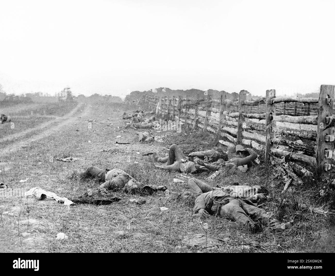 Konföderierte tot an einem Zaun an der Hagerstown Road. Foto von toten Soldaten nach der Schlacht von Antietam, Sharpsburg, Maryland, USA von Alexander Gardner, 1862 Stockfoto