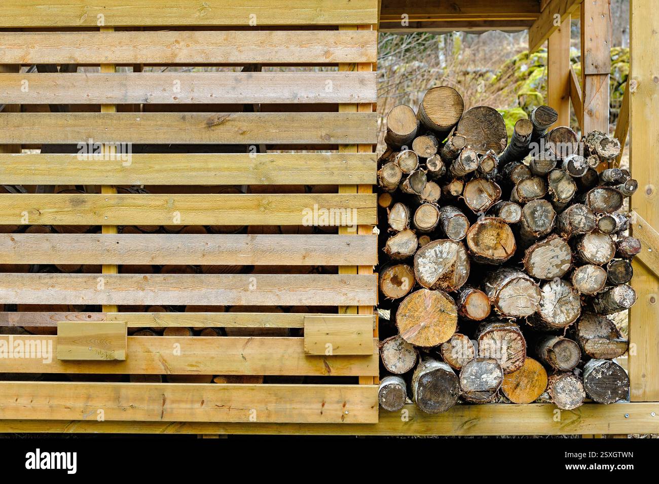 Brennholz ist in einem Holzlagerbereich mit Lattenwänden gestapelt, der sich in einer ruhigen Waldlandschaft befindet und von natürlichem Licht beleuchtet wird. Stockfoto