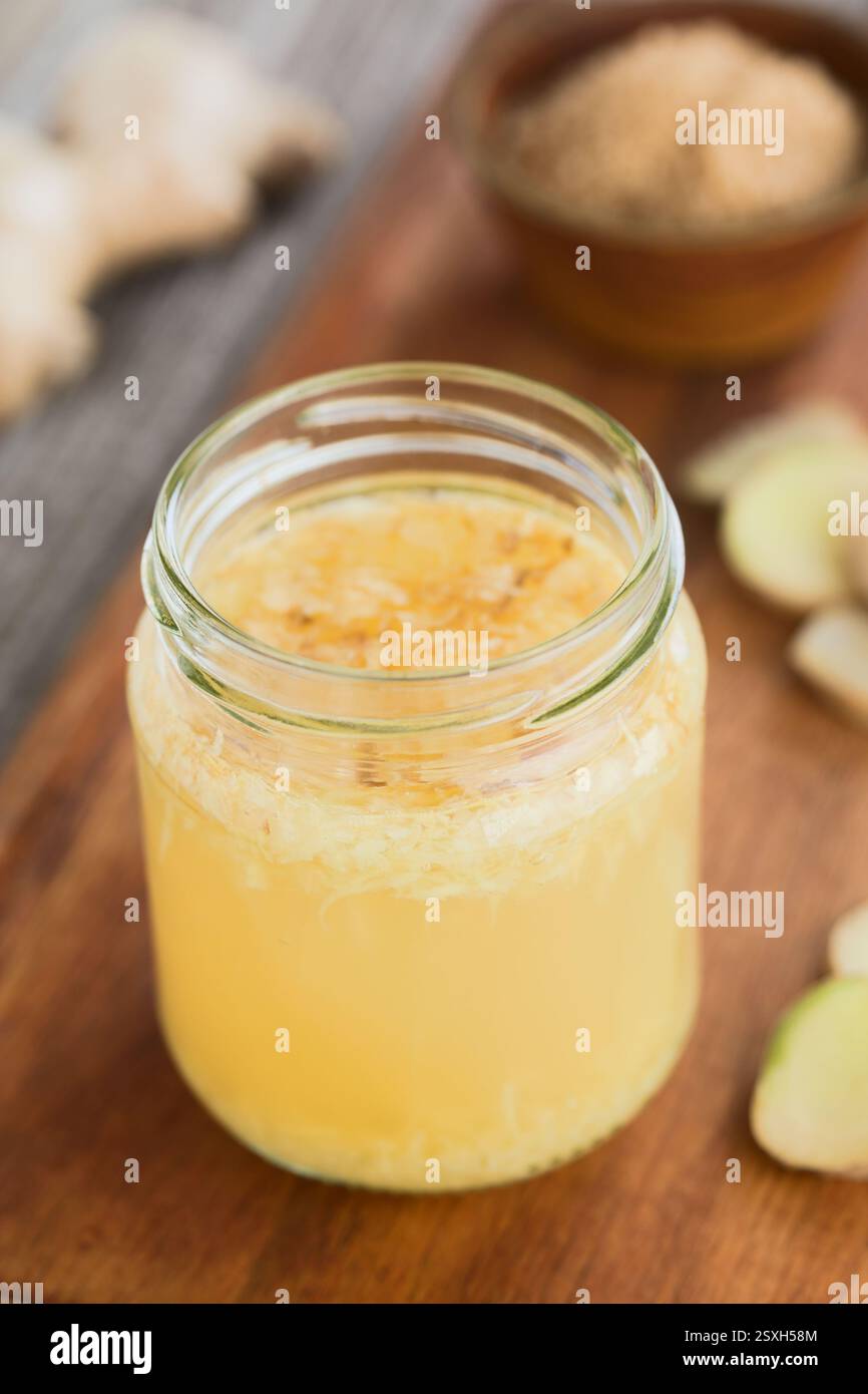 Hausgemachte Ingwerwanze eine fermentierte Starterkultur aus Zucker, geriebenem Ingwer und Wasser, aus der hausgemachte Ingwerbier und Bier sowie andere Limonaden hergestellt werden Stockfoto