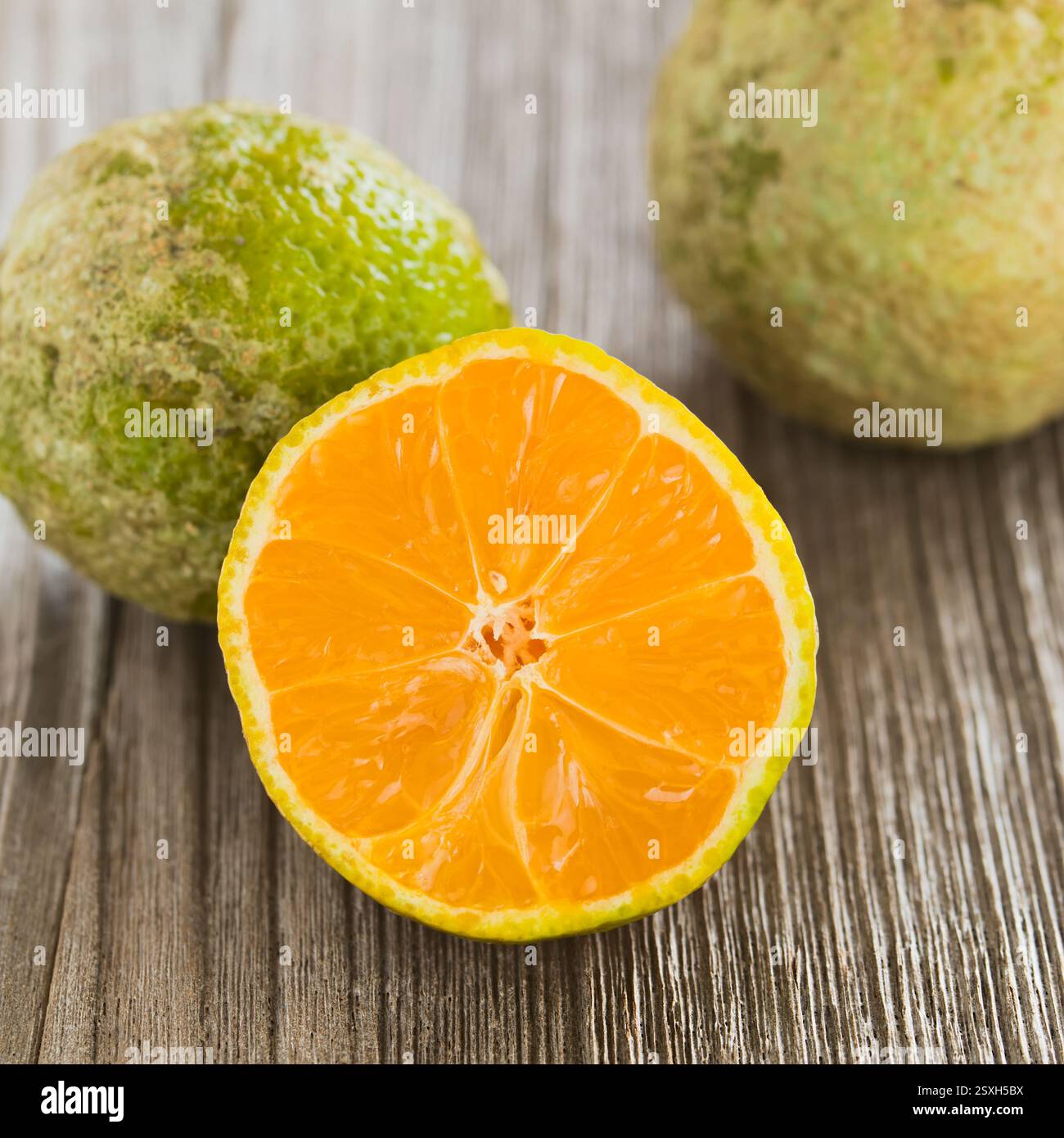 Panamaische Limonmandarina (Zitronenmandarine), eine saftige saure Zitrusfrucht, fotografiert auf Holzoberfläche (selektiver Fokus) Stockfoto