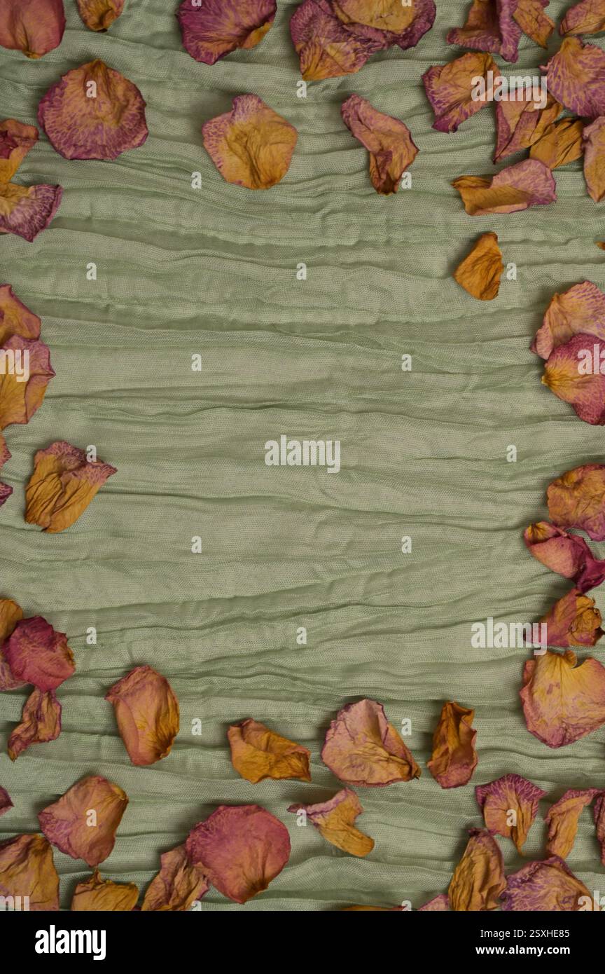 Trockene Rosenblüten auf grünem welligem Stoffhintergrund. Kann für Kopierraum, Grußkarte und Einladungskarte verwendet werden. Rahmen, Platzierung zum Hinzufügen von Text, Design Stockfoto