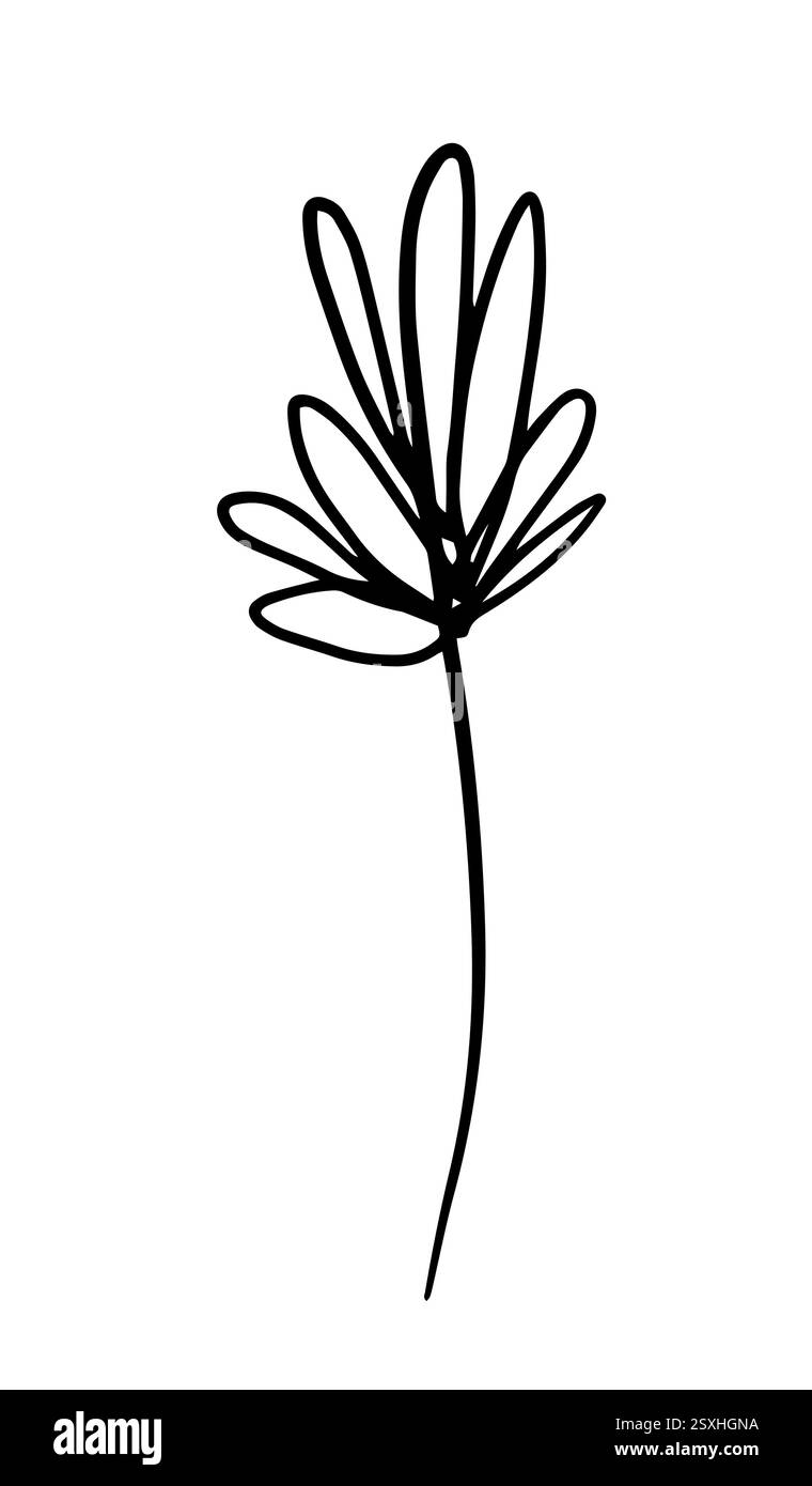 Blume eine Linie monochrom. Handzeichnung. Nicht AI, Vektorillustration Stock Vektor