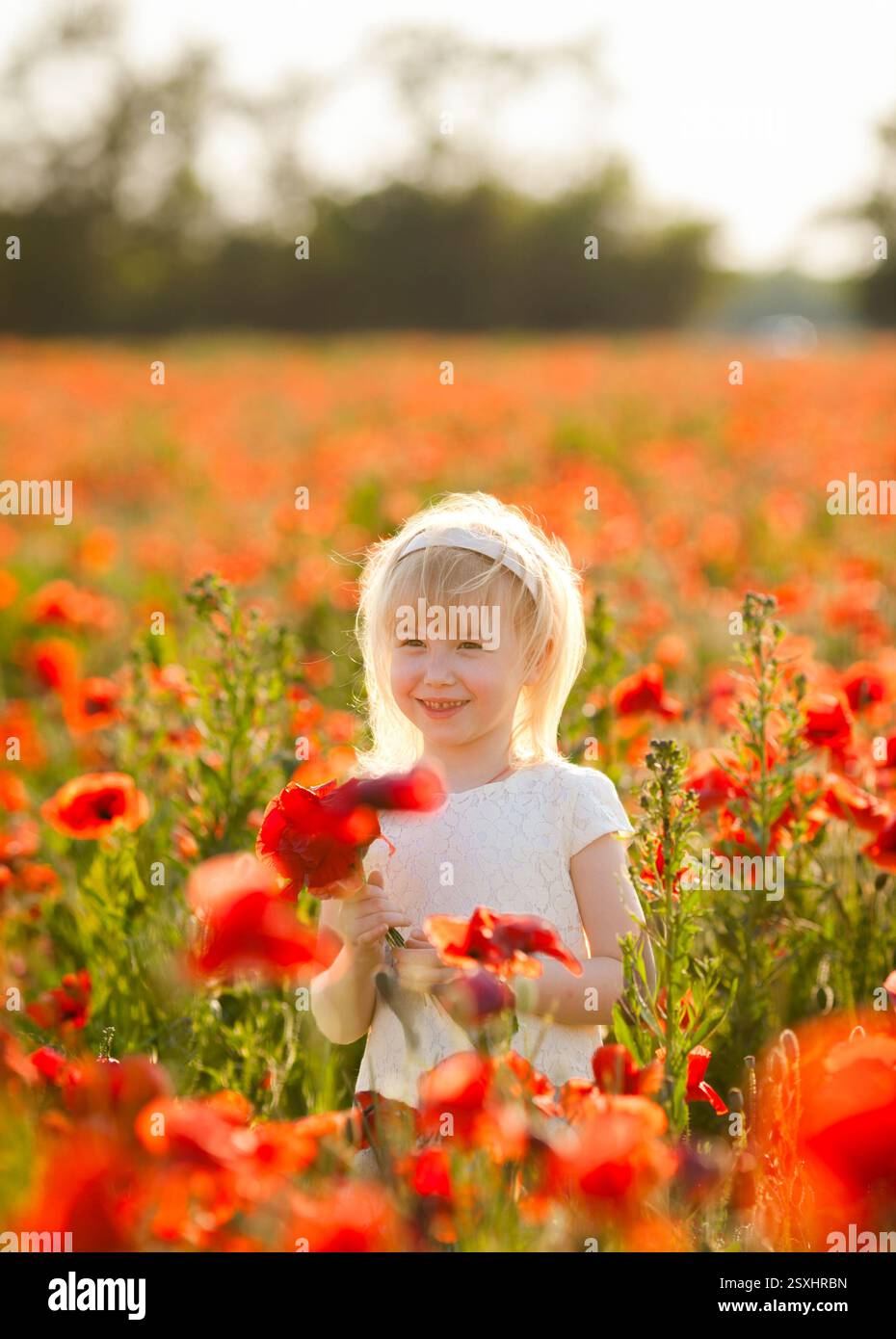 Ein glückliches blondes Mädchen sammelt Blumen und spielt auf einem Mohnfeld. Stockfoto