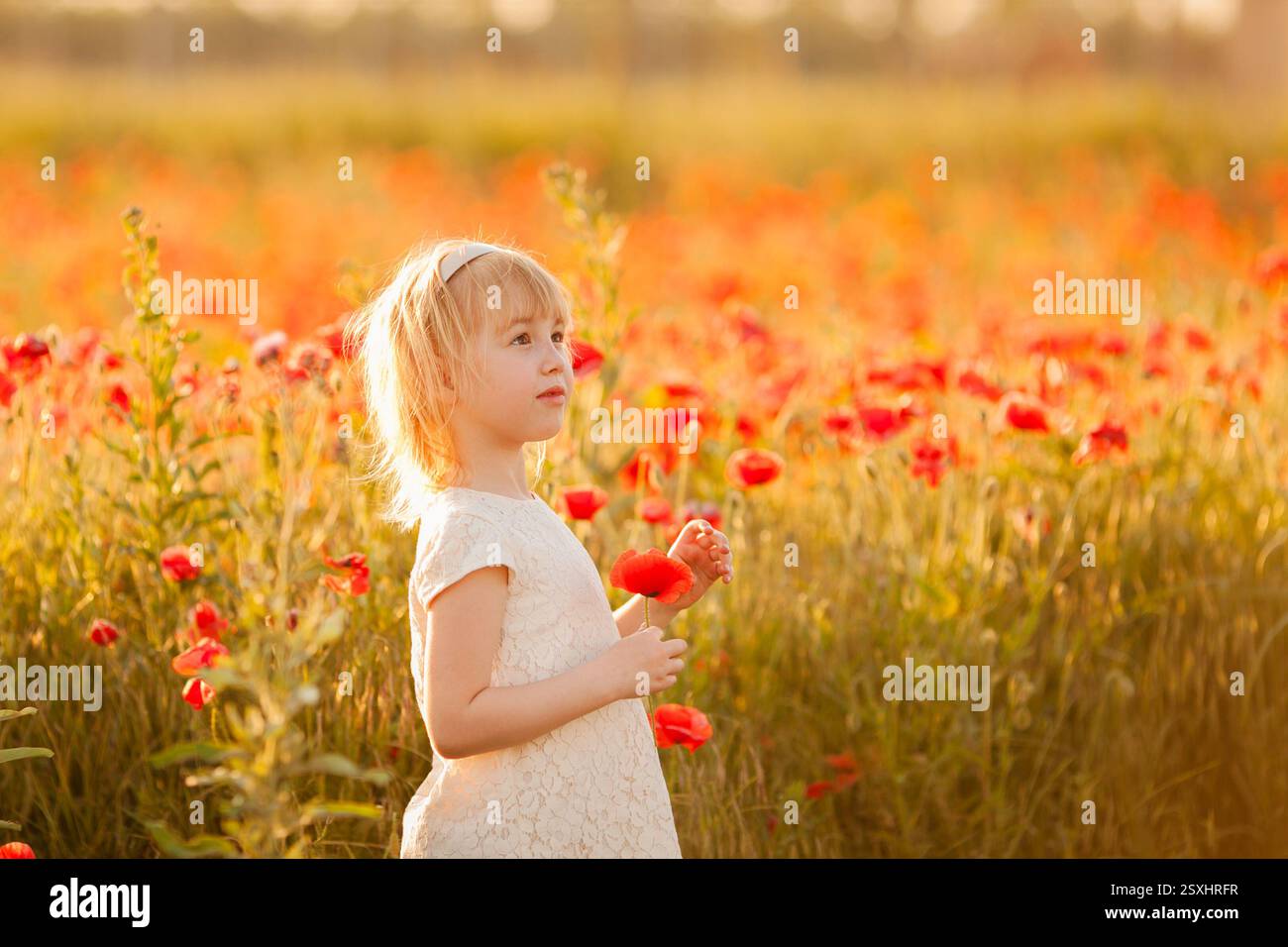 Ein glückliches blondes Mädchen sammelt Blumen und spielt auf einem Mohnfeld. Stockfoto