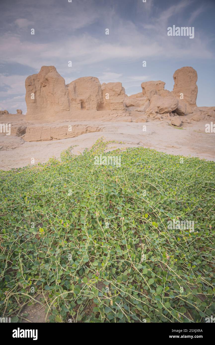 Antike Stadt In Tunesien 8 Buchstaben Die antike Stadt Jiaohe ist die größte, älteste und am besten erhaltene