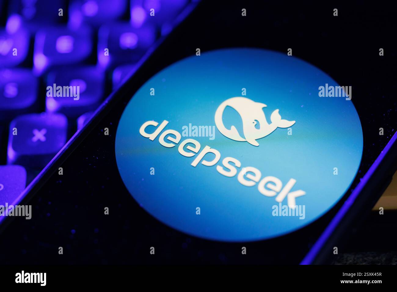 Hongkong, China. Februar 2025. In dieser Fotoabbildung werden KI-Apps (Artificial Intelligence) von DeepSeek auf einem Smartphone-Bildschirm angezeigt. (Foto von May James/SOPA Images/SIPA USA) *** ausschließlich für redaktionelle Nachrichten *** Credit: SIPA USA/Alamy Live News Stockfoto