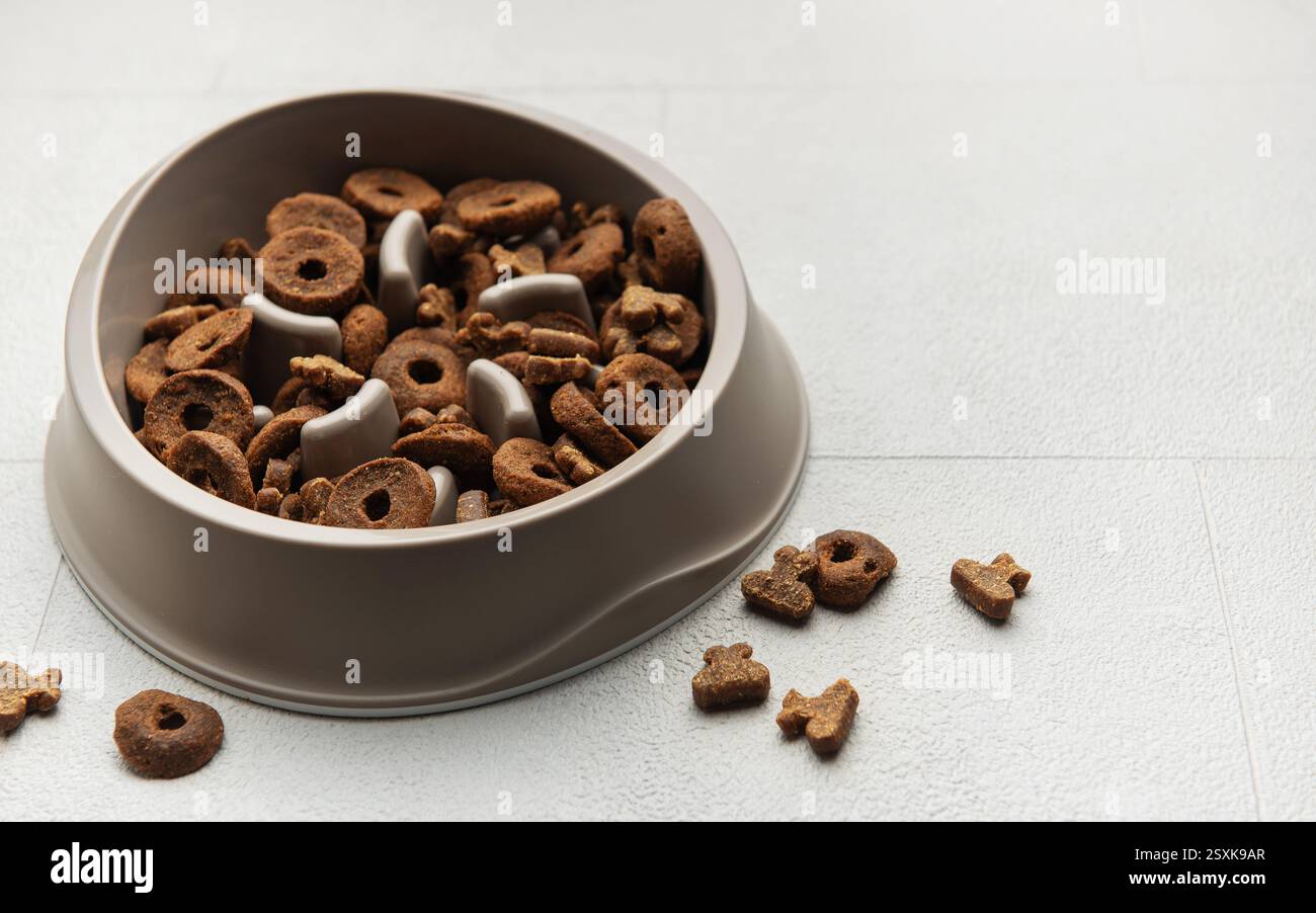 Hundefutter in einer Schüssel mit langsamem Futter auf einer hellen Oberfläche Stockfoto