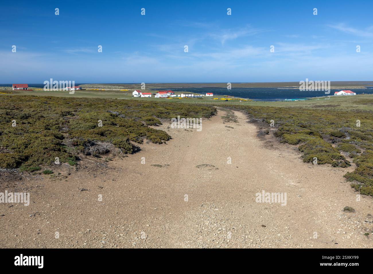 Bauernhof mit Gebäuden, Bleaker Island, Falklandinseln Stockfoto