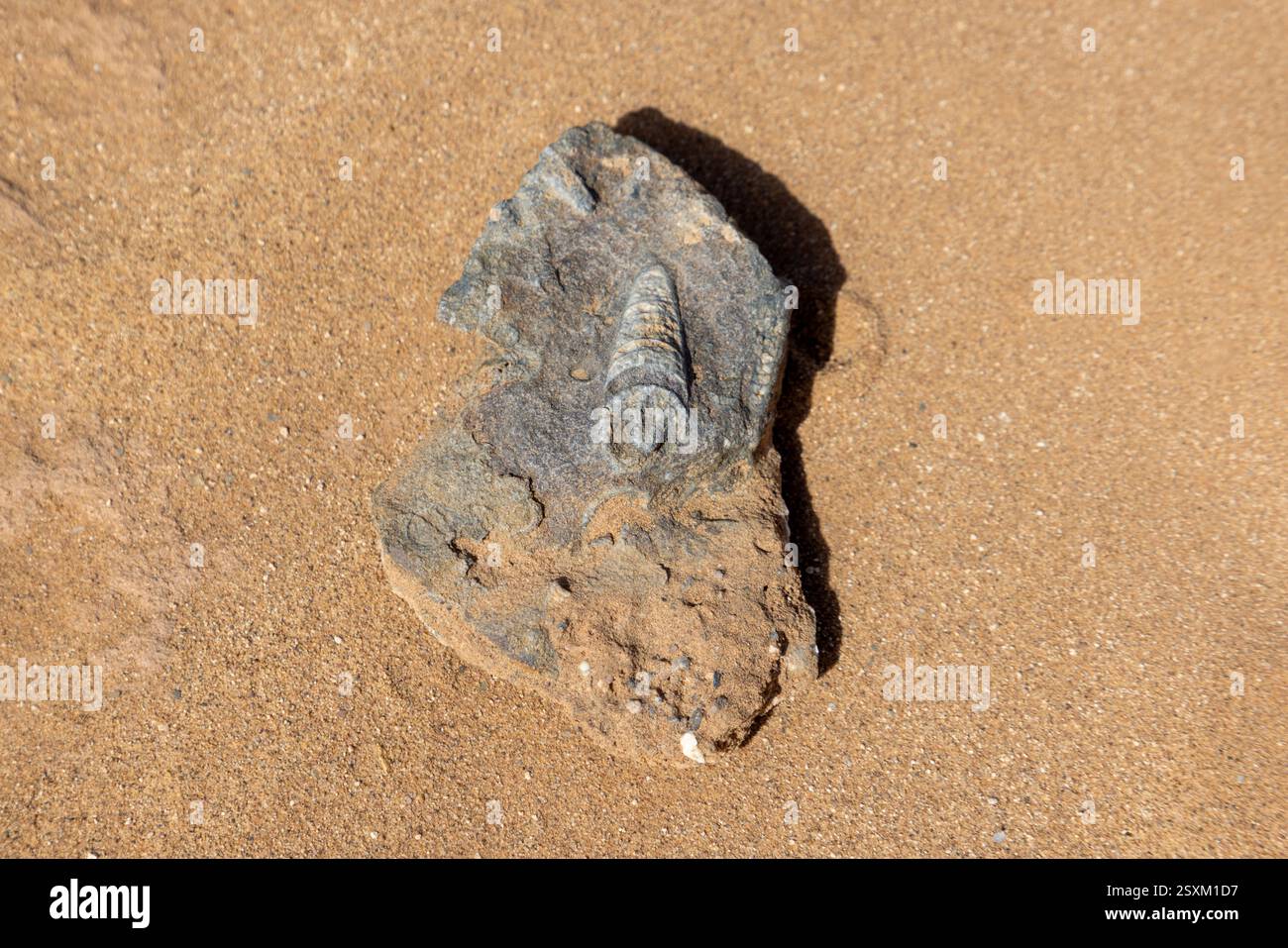 Der Iriqui-Nationalpark, Marokkos größter, umfasst 1230 Quadratkilometer abwechslungsreiches Sahara-Wüstengebiet am Fuße des Atlasgebirges. Stockfoto