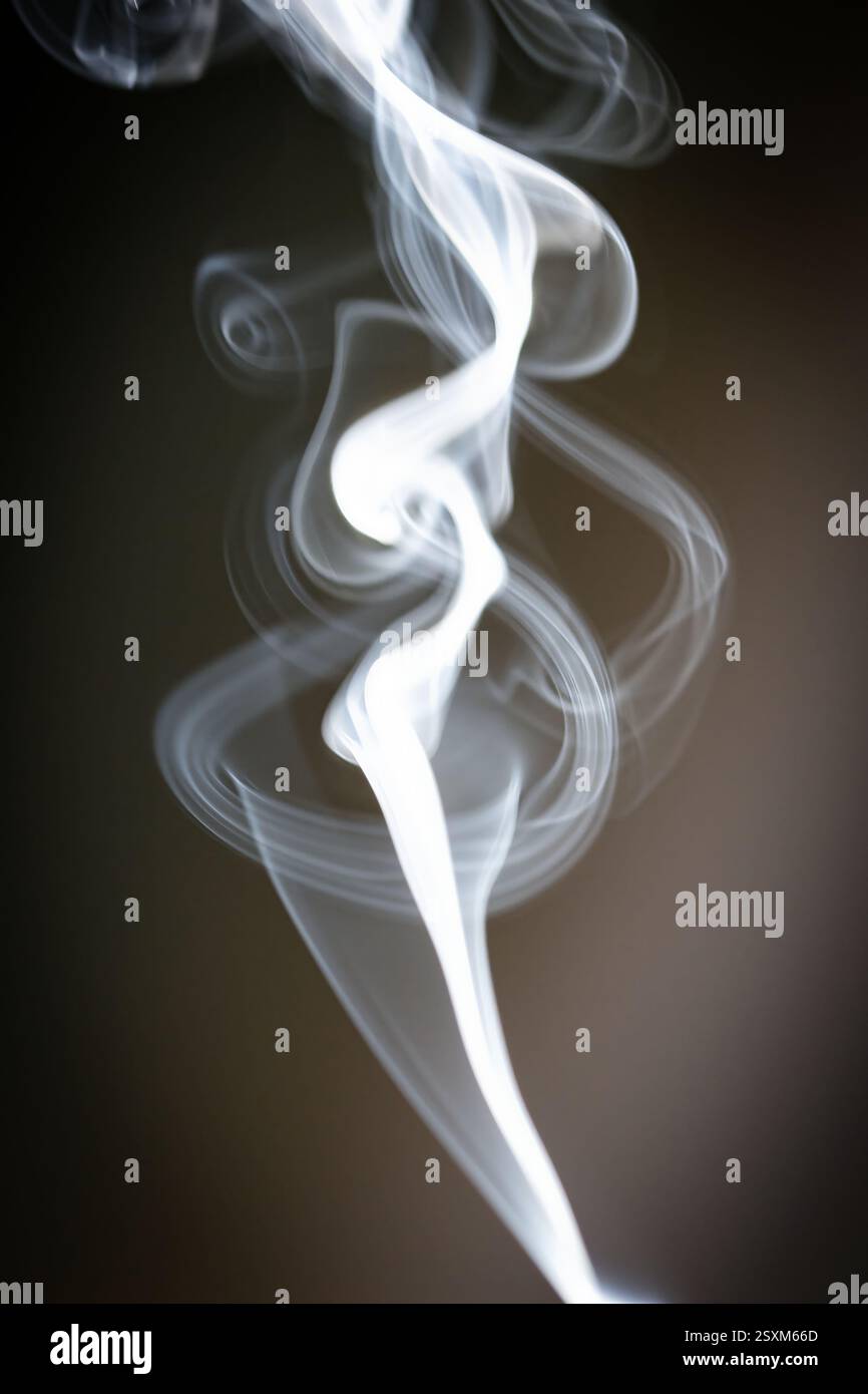 Weißer Rauch, der elegant vor dunklem Hintergrund wirbelt, schwingt anmutig durch die Luft und erzeugt komplizierte Muster, fließende Bewegungen Stockfoto