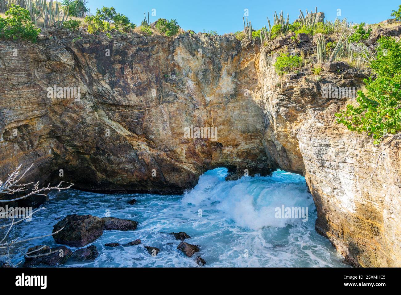 Trou de David (Davids Loch), lokale Attraktion auf der französischen Seite der Karibikinsel Saint Martin (Sint Maarten), Französisch-Westindien Stockfoto