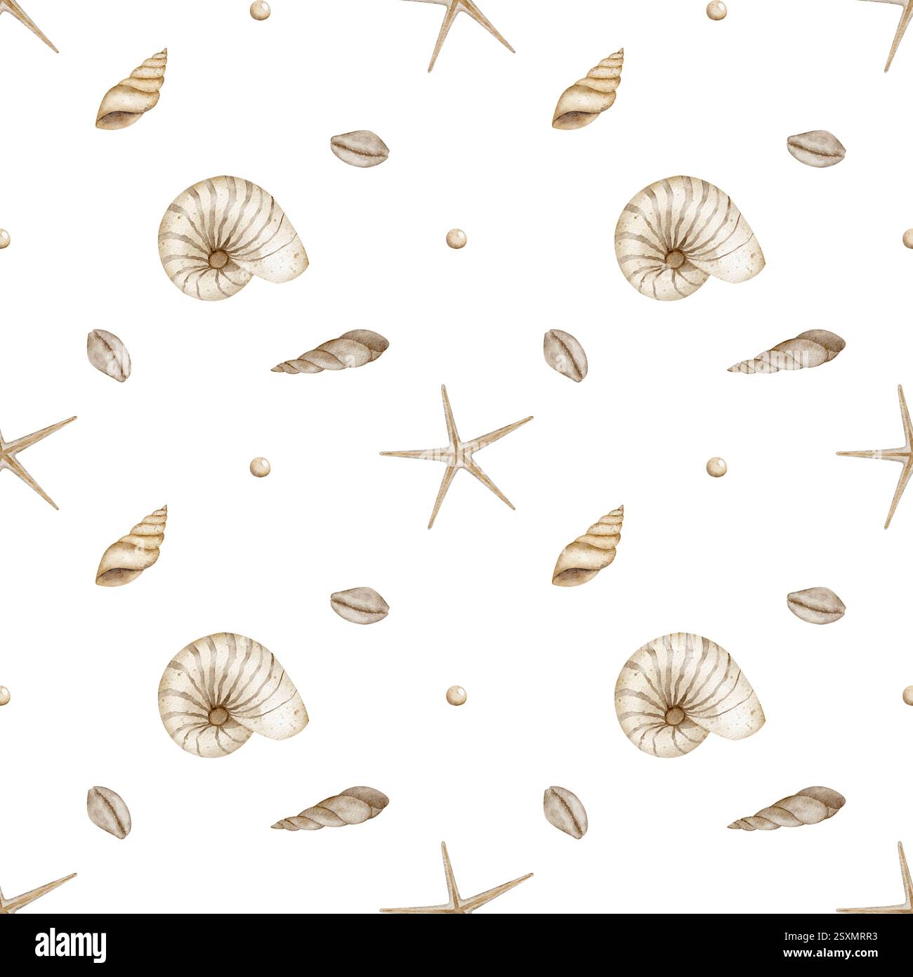 Beigefarbene Muscheln, nahtloses Schwarzweißmuster. Vintage-Wasserdruck mit Meeresmotiv. Handgezeichnete Illustrationen Seesterne Spirale in Pastellfarben isoliert für Stockfoto