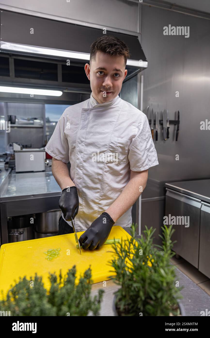 Der Koch schneidet Sellerie geschickt mit Präzision auf einem hellen Schneidebrett Stockfoto