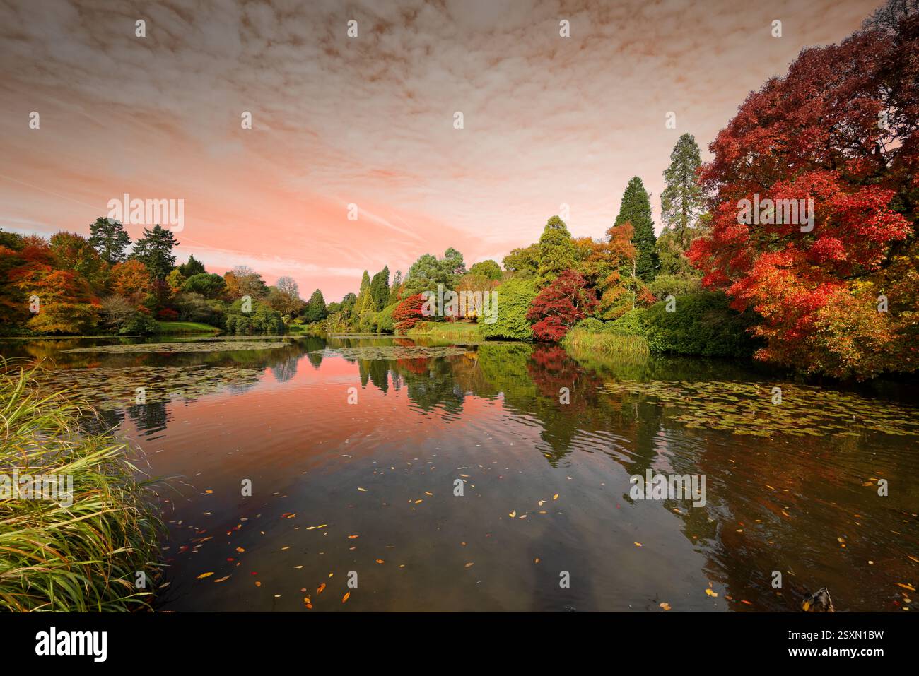 Sheffield Park in Sussex in Herbstfarben Stockfoto