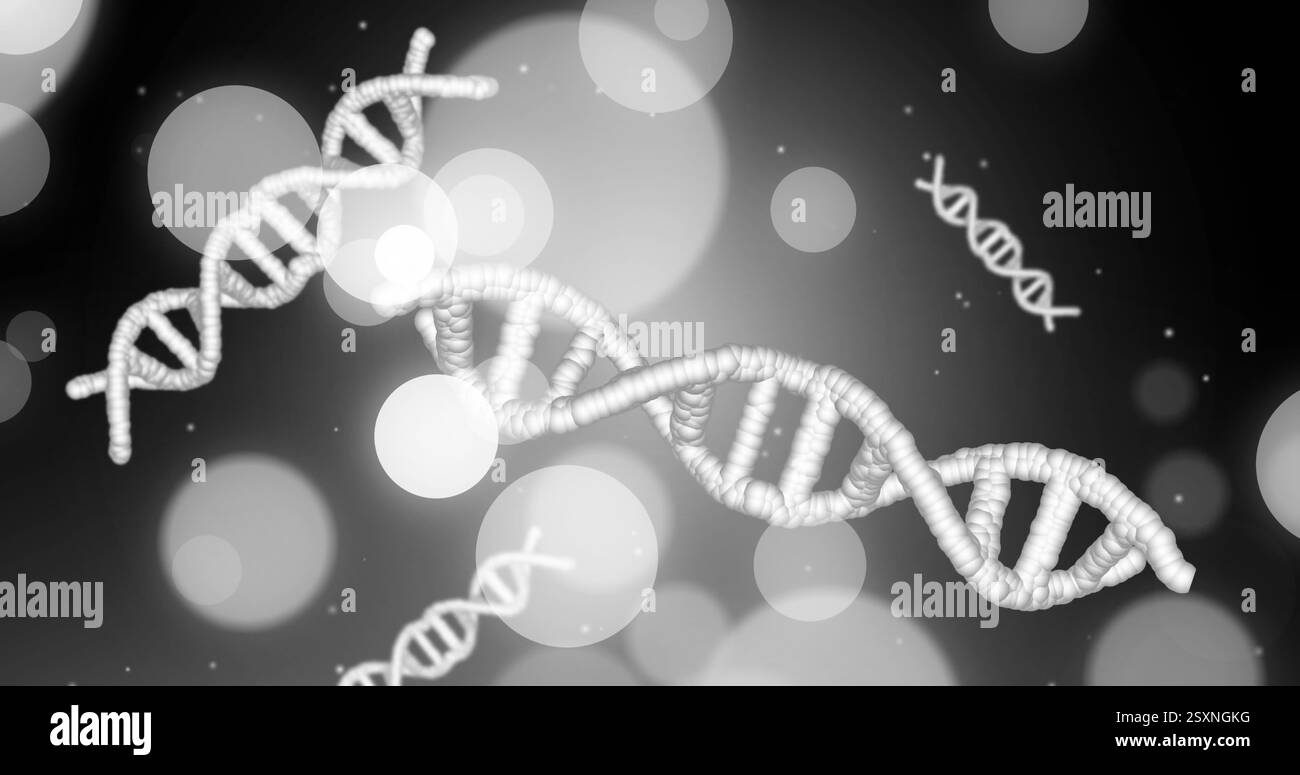 DNA-Stränge und Bokeh-Lichter, wissenschaftliches Datenverarbeitungsbild Stockfoto