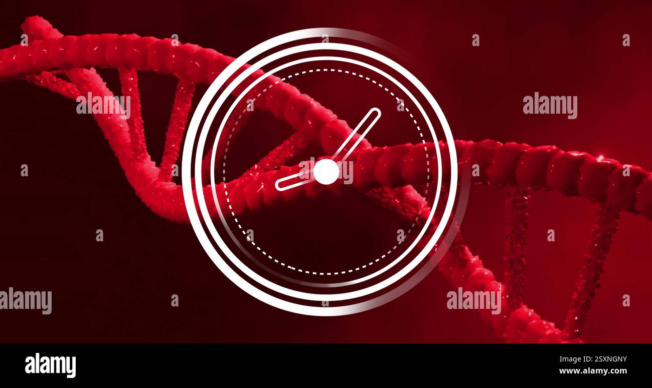 Bild einer beweglichen Uhr über dna-Strang auf rotem Hintergrund Stockfoto