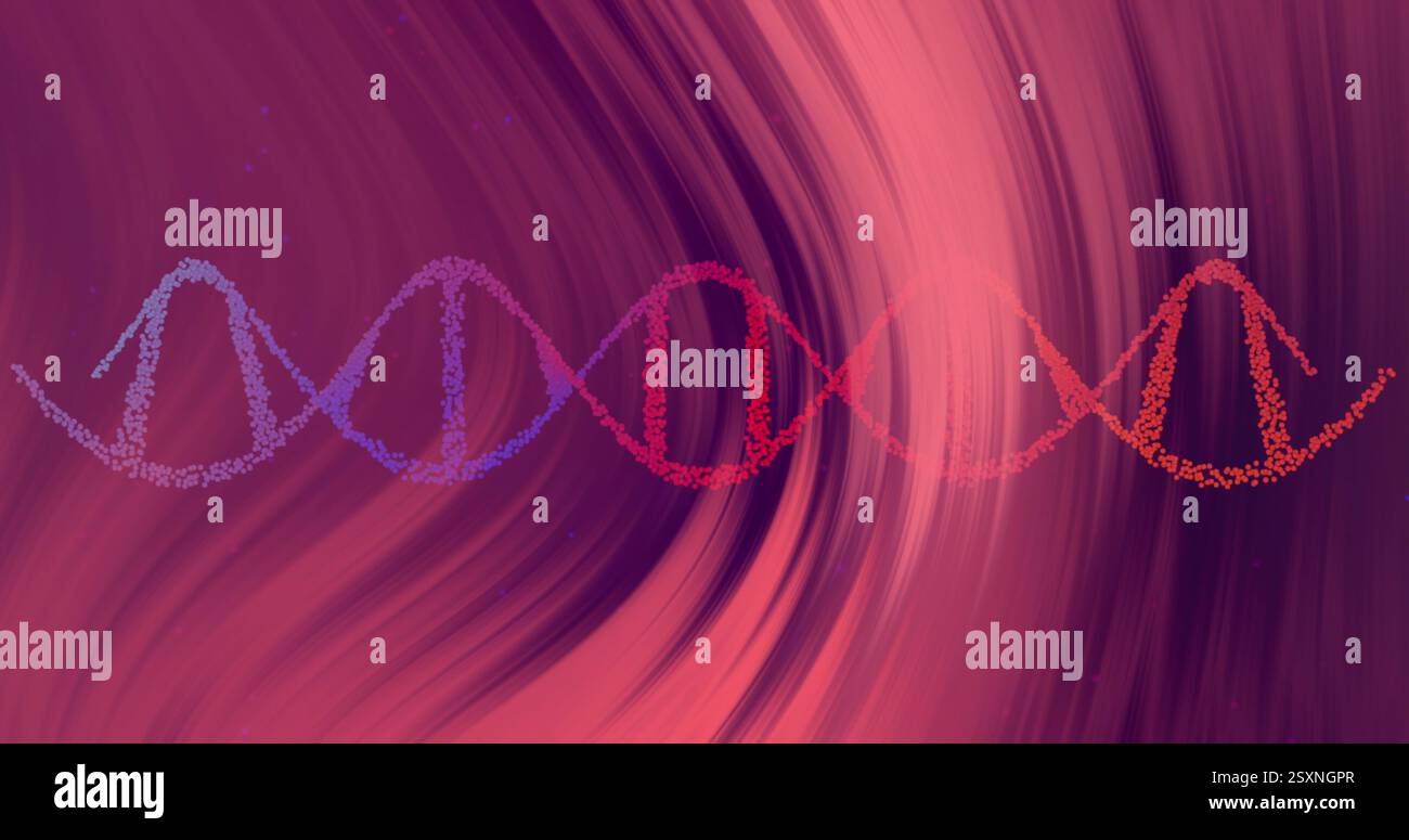 Abbildung des dna-Strangs über roten Linien auf schwarzem Hintergrund Stockfoto