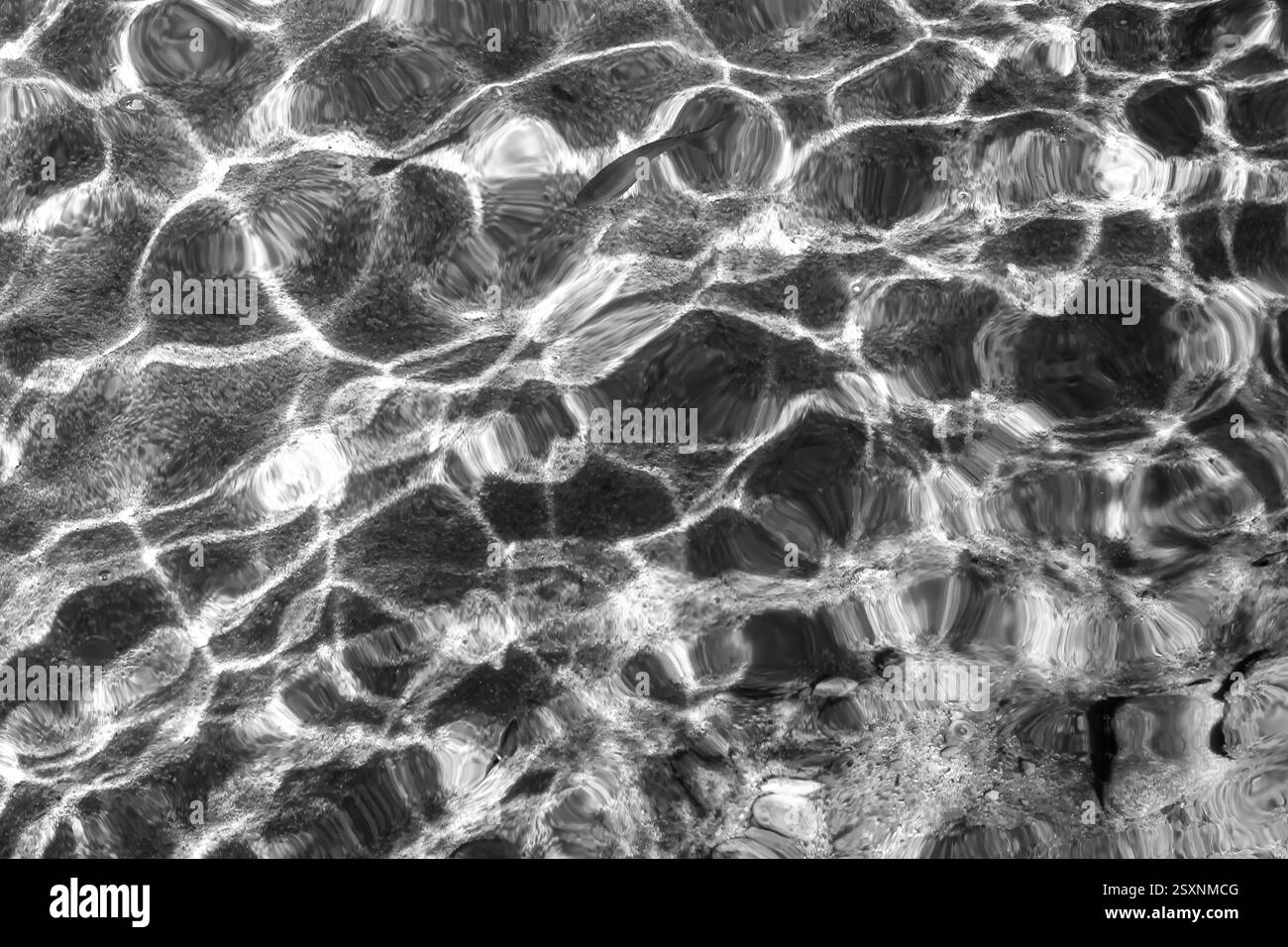 Sonnenschein reflektiert abstrakte Lichtmuster im Meer. Stockfoto