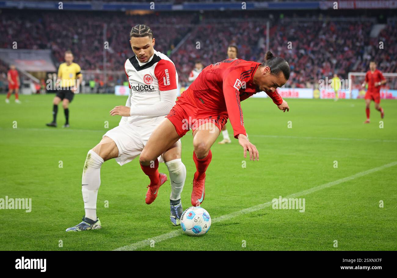 MÜNCHEN – 23. FEBRUAR: Leroy Sane von Bayern München streitet mit Nnamdi Collins von Eintracht Frankfurt beim Bundesliga-Spiel zwischen dem FC Bayern München und Eintracht Frankfurt am 23. Februar 2025 in der Allianz Arena in München. © diebilderwelt / Alamy Stock Stockfoto