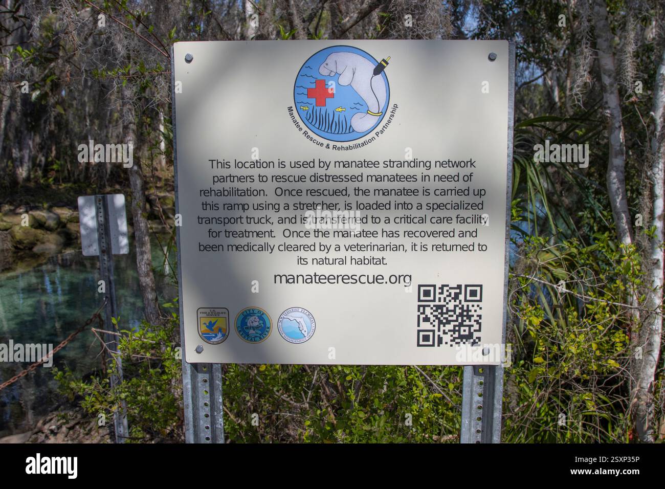Crystal River, Florida - 22. Februar 2025: Schild für die Seekühe in Three Sisters Springs Stockfoto