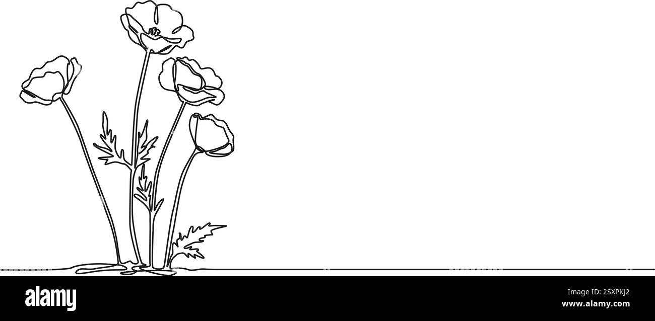Ununterbrochene einzeilige Zeichnung von Mohnblumen, Wildblumenlinie Kunstvektor-Illustration Stock Vektor