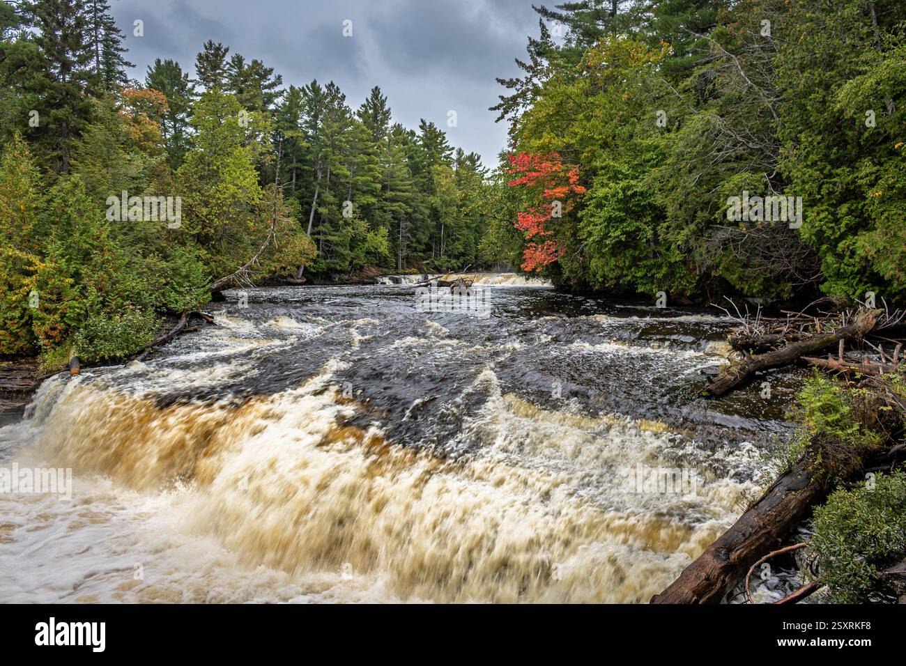 Der Tahquamenon-Wasserfall fällt über felsiges Gelände, umgeben von üppigen grünen Bäumen und einem Hauch von Herbstlaub unter einem stimmungsvollen, bewölkten Himmel. Stockfoto
