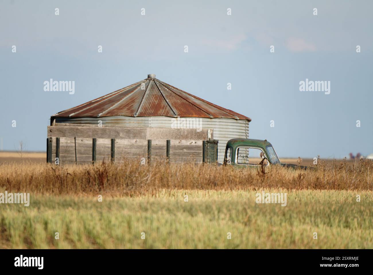 Der alte grüne Pickup steht neben einem Getreidesilo auf einem Feld Stockfoto