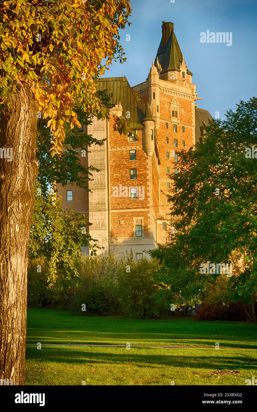 Großes Gebäude mit einem grünen Baum davor. Das Gebäude ist braun und hat einen Turm Stockfoto