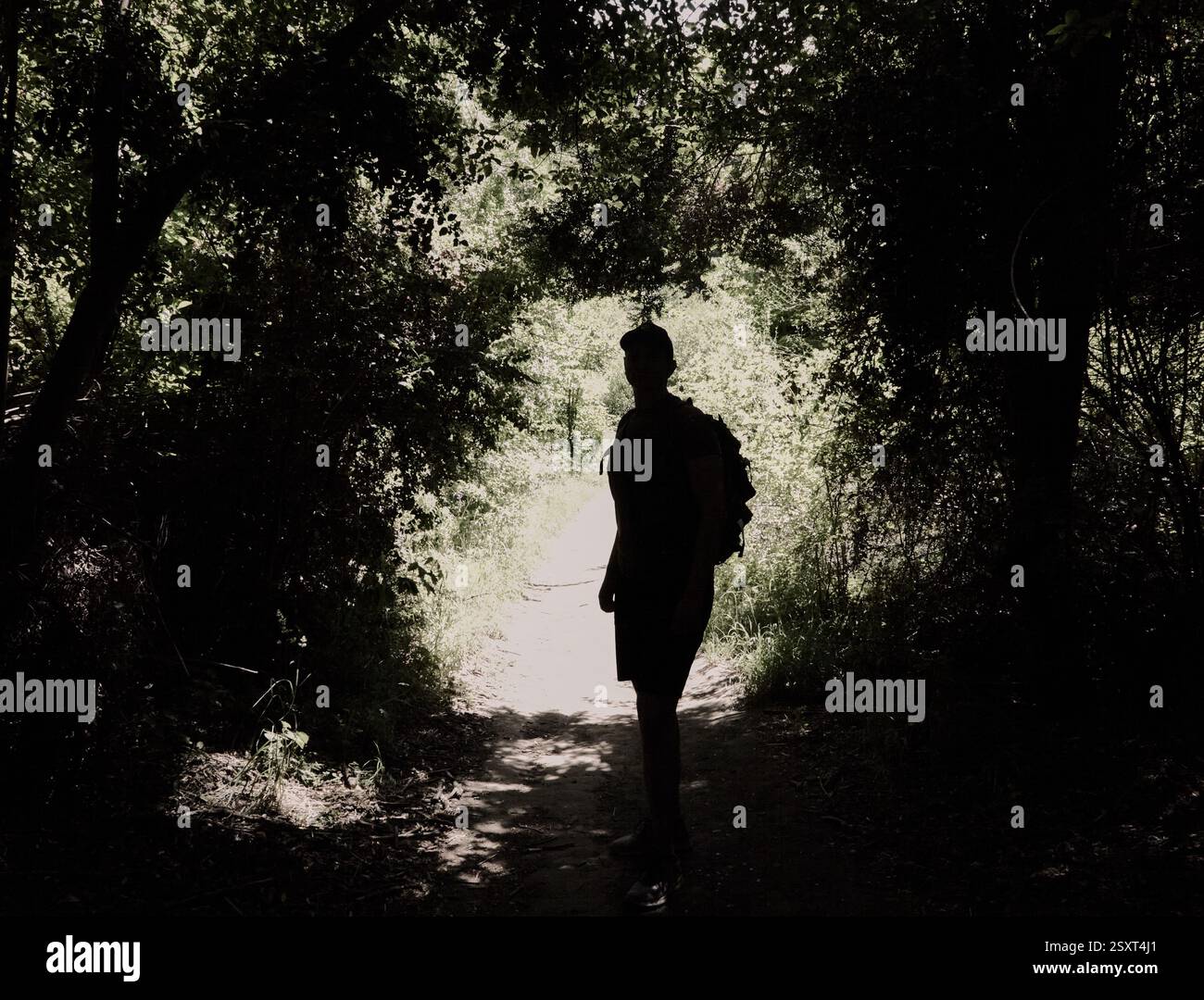 Silhouette eines jungen Mannes mit Rucksack auf einer sonnendurchfluteten Straße. Umgeben von dunklen Zweigen aus Büschen Stockfoto
