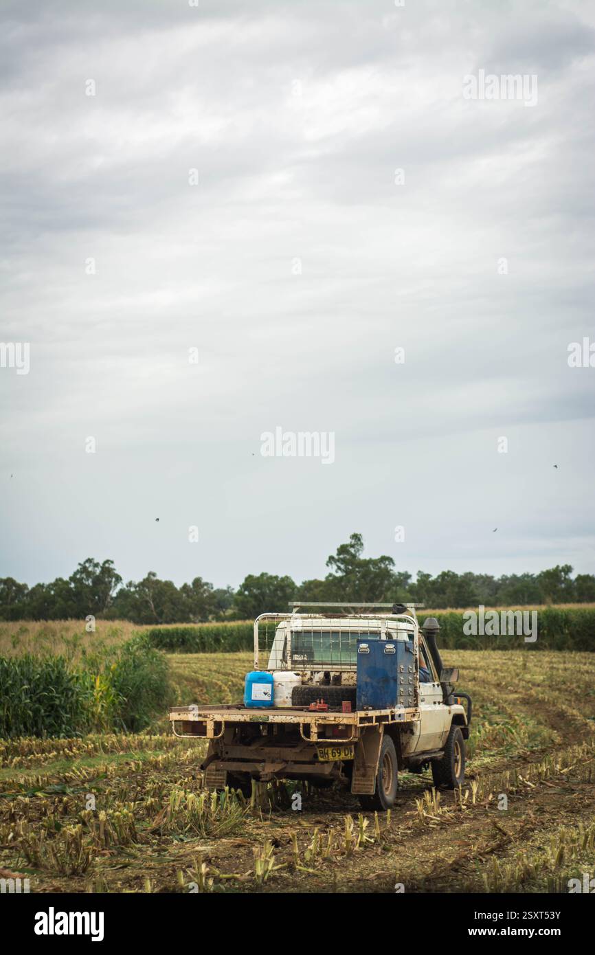 Ein Landwirt fährt über die Felder Stockfoto