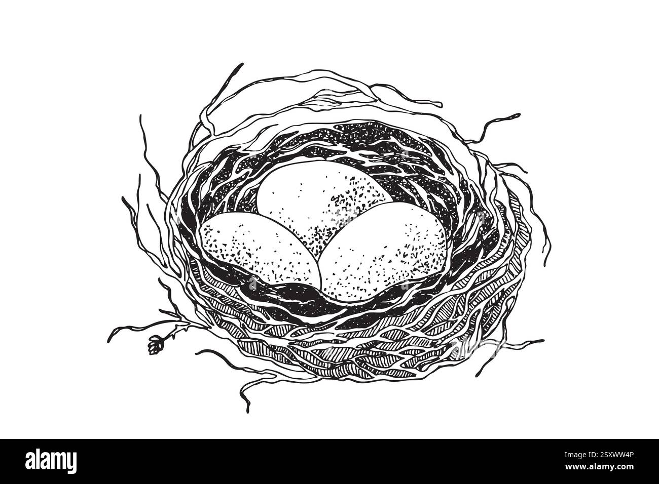 Vogelnest mit Eiern. Ostern Hand gezeichnete Vektor-Illustration, Vorlagendesign Stock Vektor