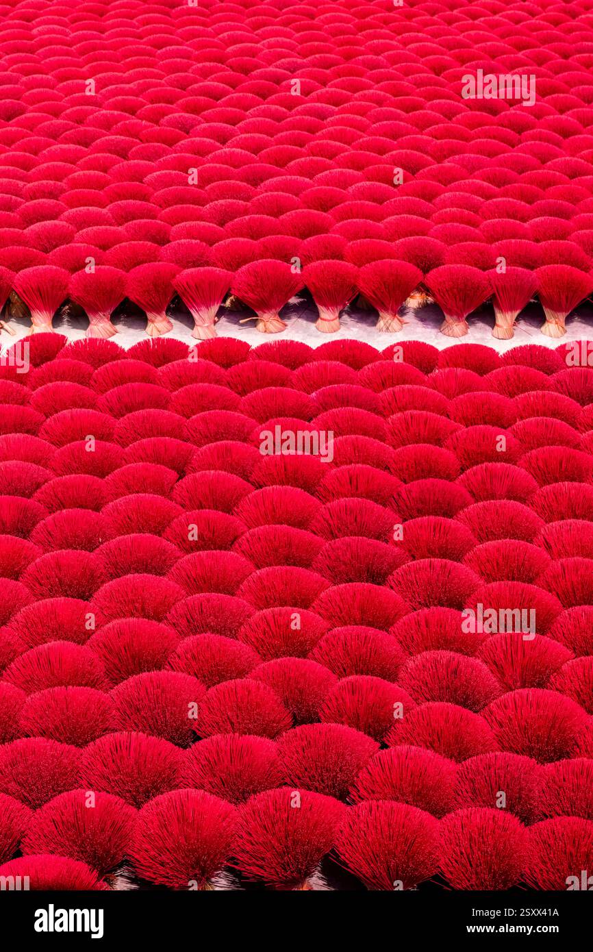 Rote dünne Bambusstäbchen in Bündeln zur Herstellung von Räucherstäbchen werden nach dem Färben in der Sonne trocknen lassen. Stockfoto