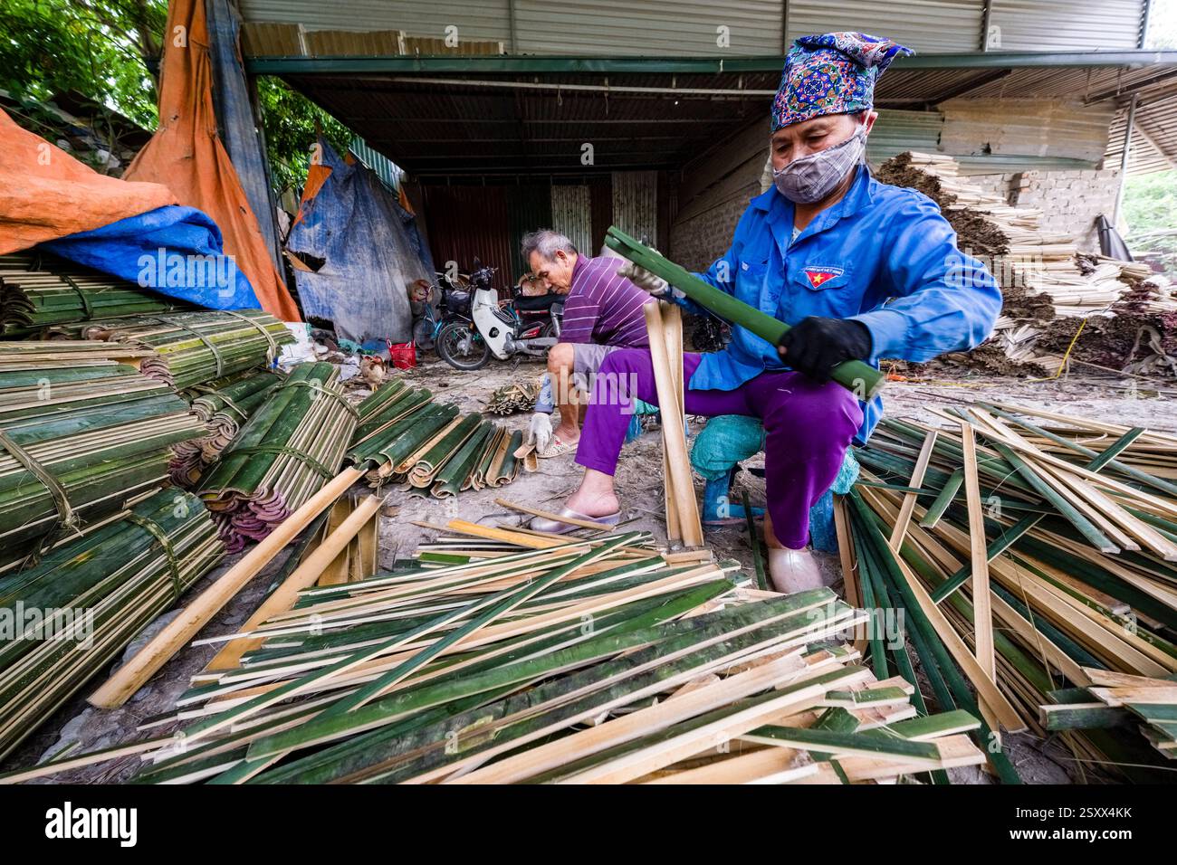 Bambus schneiden -Fotos und -Bildmaterial in hoher Auflsung  Alamy