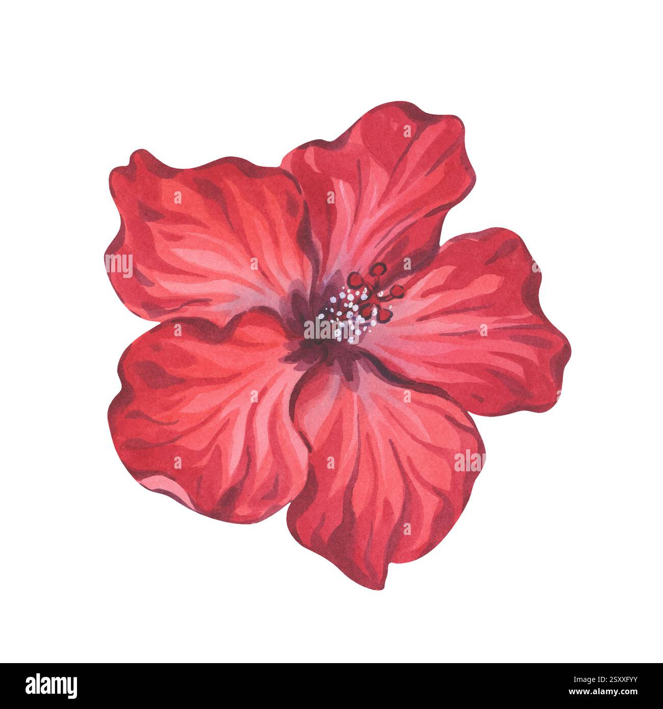 Rote Hibiskus-Blume Aquarell Stilisierte Illustration Stockfoto