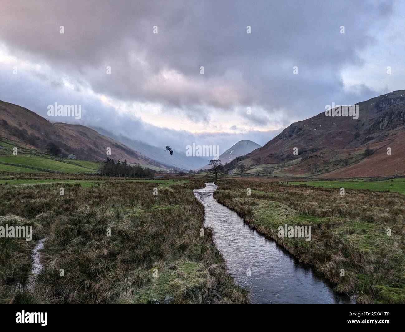 Blick hinunter auf Howe Grain von Martindale in Richtung NAB im englischen Lake District - Smartphone-aufgenommenes Stockfoto
