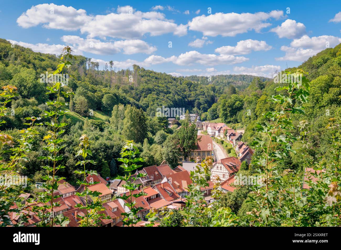 Die historische Stadt Stolberg, umgeben vom Harz (Sachsen-Anhalt) an einem sonnigen Augusttag. Stockfoto